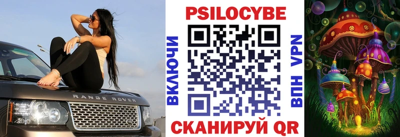 Купить где  Фёдоровский  Псилоцибиновые грибы GOLDEN TEACHER 